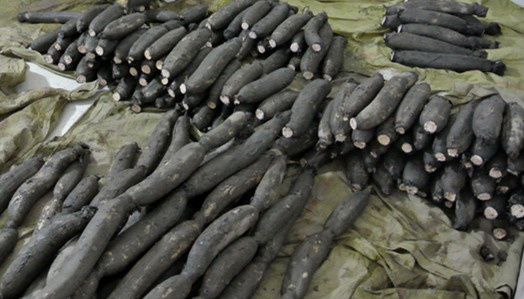 云南特产 野生莲藕 新鲜蔬菜莲藕脆藕 凉拌藕粉糯现挖鲜售 现挖1斤