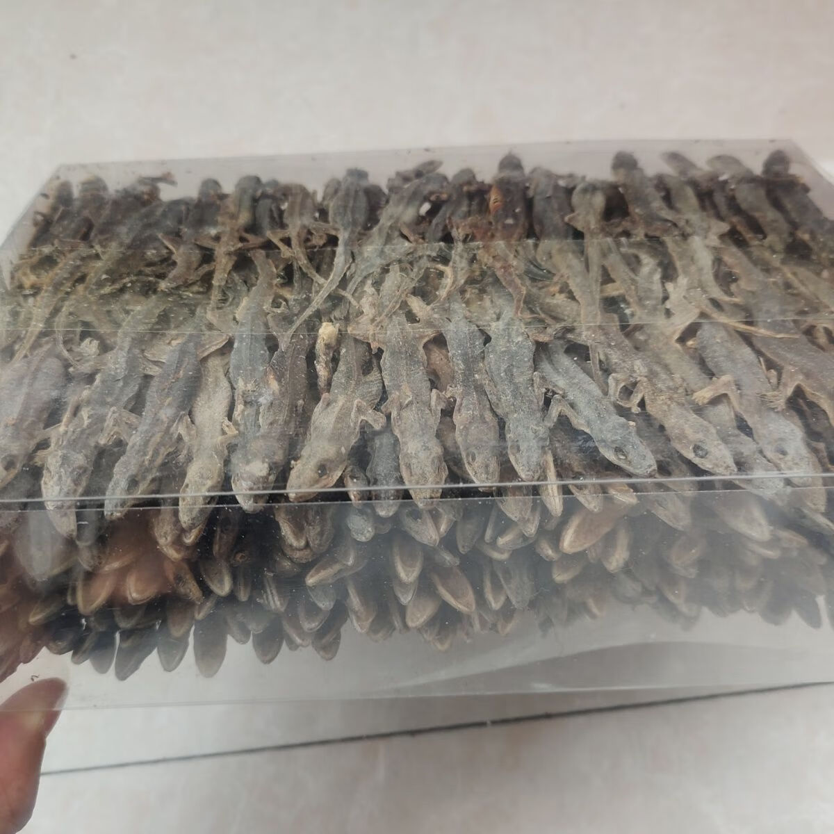 天龙干中药材中药清煲汤可磨粉500克另售蜈蚣壁虎干 500g【图片 价格