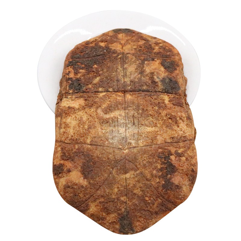 迎亿堂 龟板 中药材 制龟板 炙龟板 醋龟板 药用龟下甲 生龟板 100