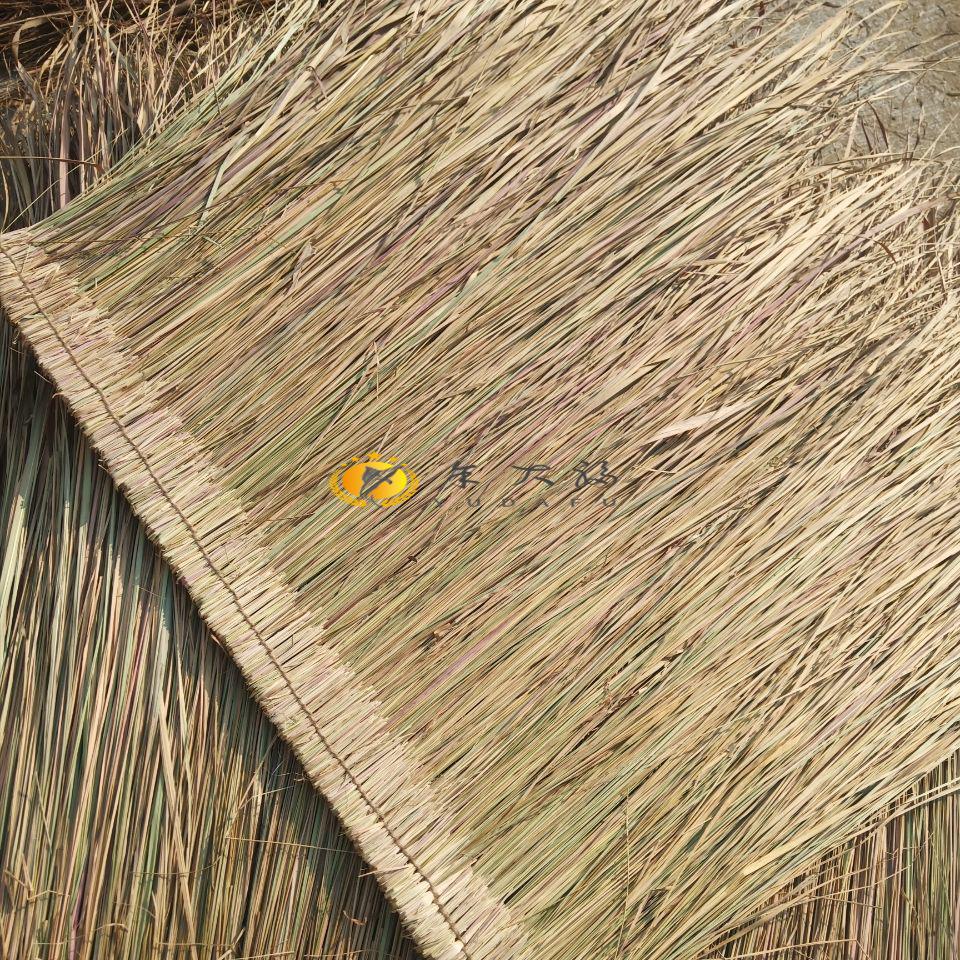 麦桑荷茅草屋真茅草天然稻草黄手工编织加厚毛草公园农家乐景区装饰卫