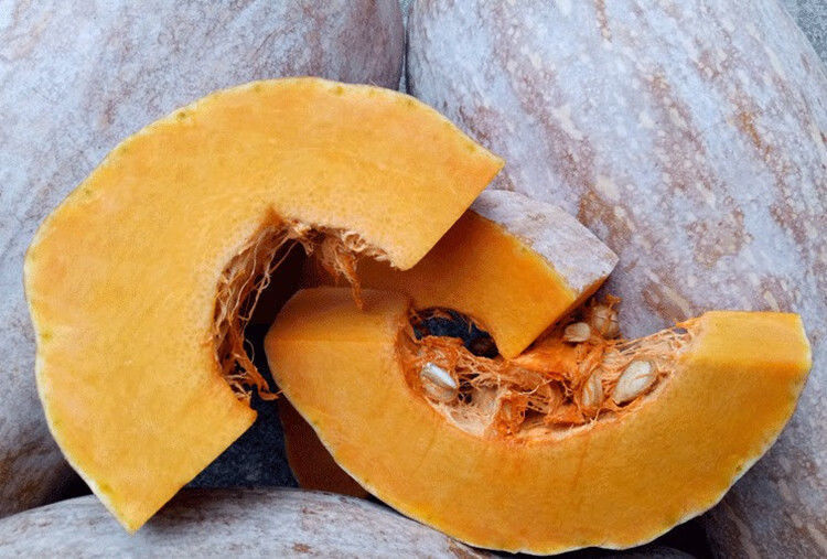 海南老南瓜蜜本南瓜板栗宝宝辅食农家自种新鲜蔬菜粗粮5斤56斤