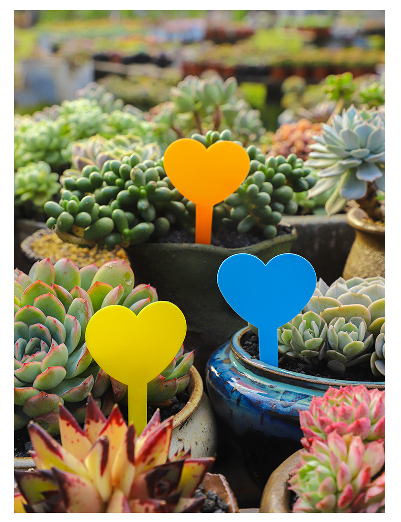 园艺多肉标签加厚爱心型兰花花卉标签多肉标识牌防水塑料插地虎雀a