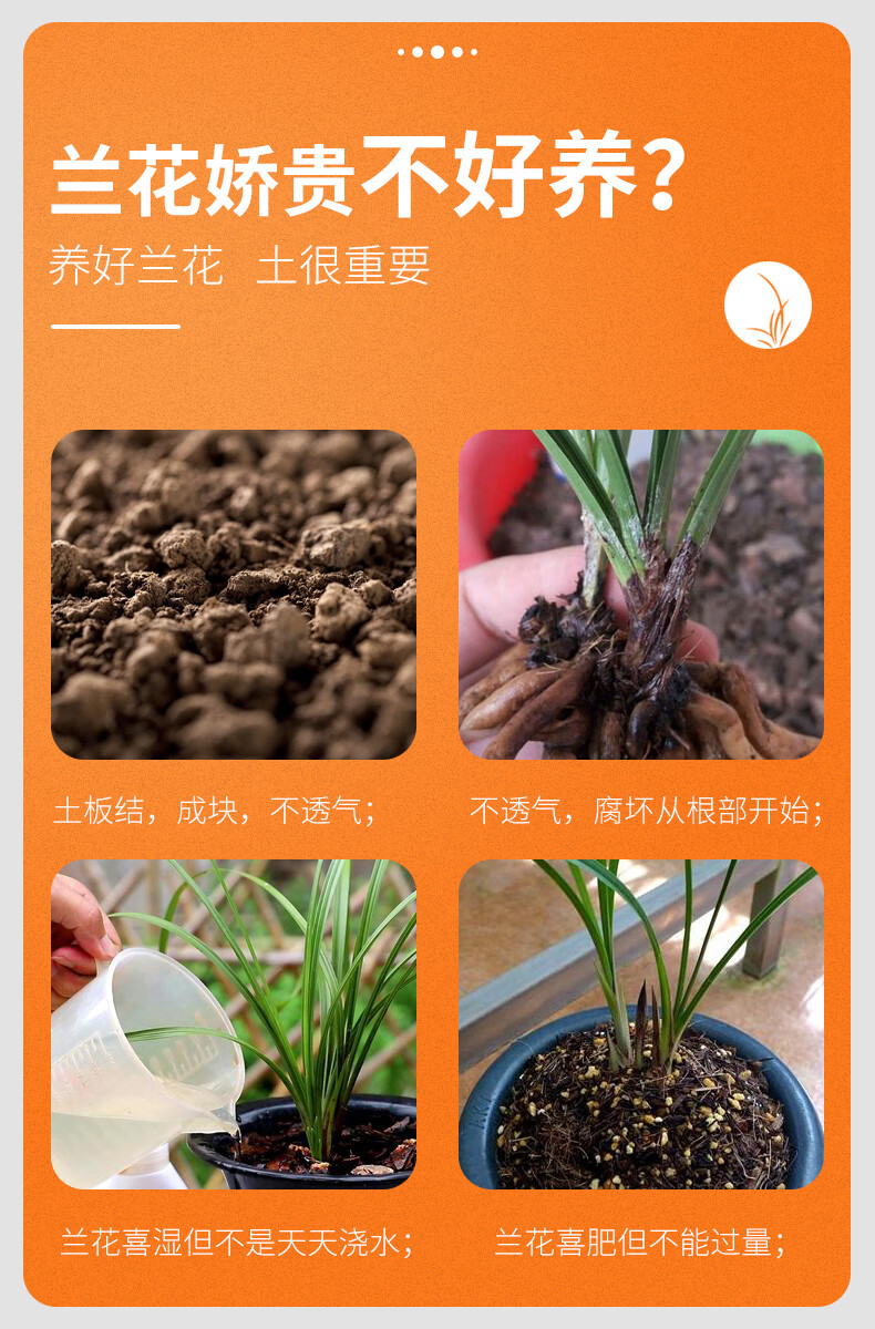 水生田粗椰壳砖兰花营养土蝴蝶兰植料多肉土花卉君子兰椰糠脱盐椰砖粗