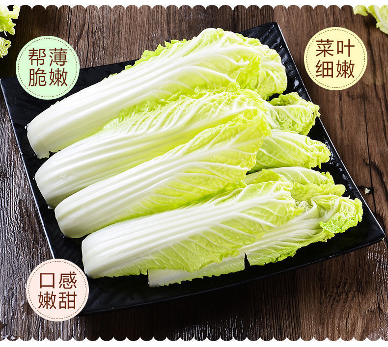 云南高原大娃娃菜农家自种白菜当季时鲜蔬菜现摘现发甜嫩霜扎白菜253