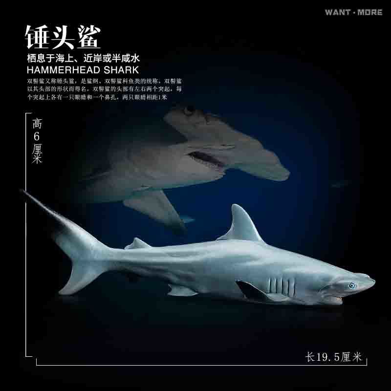 兒童仿真海底生物鯊魚鯊臂玩具模型巨齒鯊大白鯊食人鯊模型 錘頭鯊/長