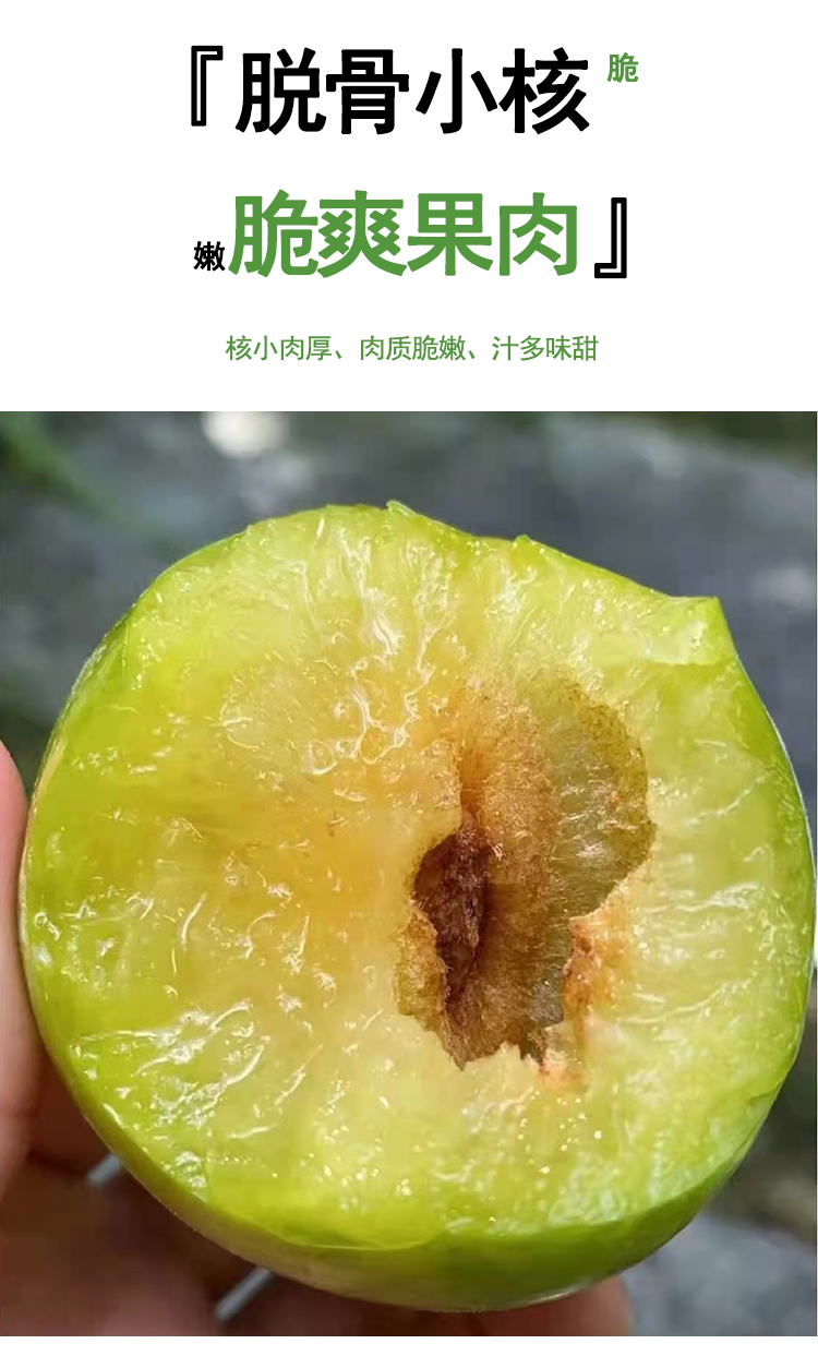 正宗古田油奈李子新鲜水果脱骨李子青脆李福建奈李3/5斤大果现货 5斤
