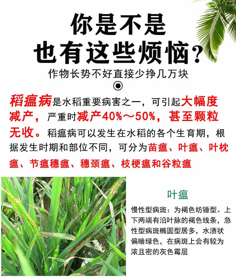 柯必达 农药剂水稻专用农药纹枯病节瘟叶瘟苗瘟病立枯病稻瘟病稻瘟灵