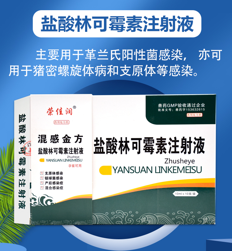 兽药兽用品盐酸林可霉素注射液牛羊猪用混合感染产后消炎1盒10ml10支