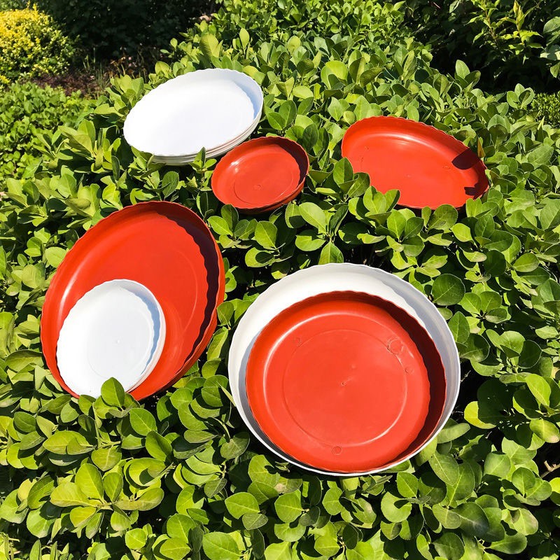 幻翎加厚花盆托盘塑料花盆底托接水盘移动底托花盆底座花盆垫花盆底盘