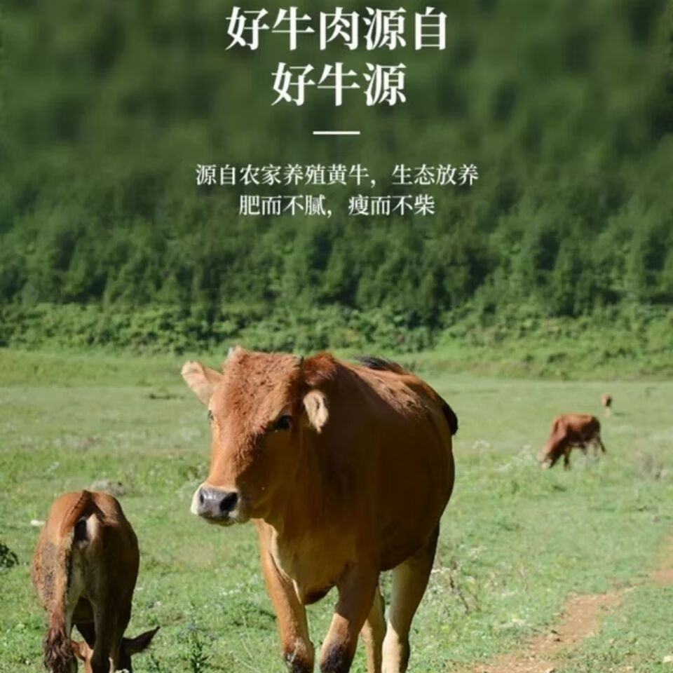 伟博广西黄牛新鲜整套母牛子宫生殖器官牛欢喜食用或养殖培训顺丰空运