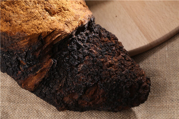 黑金桦树茸野生一斤俄罗斯进口白桦树茸华树茸桦树榕蓉绒荣容