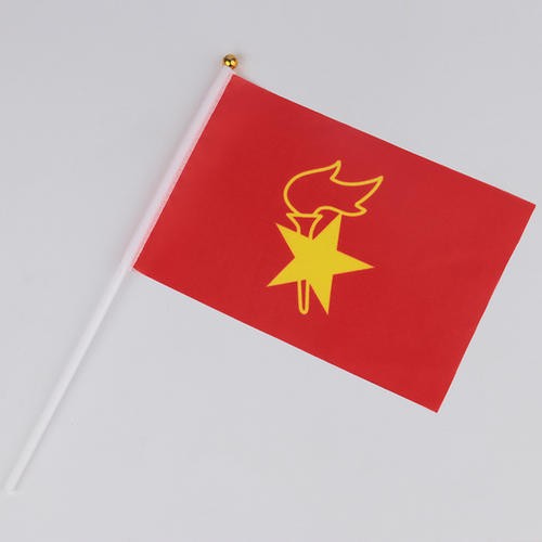 振嵘邦 小学生少先队队旗 大队旗 少先队员中队旗 小队旗 中国少先