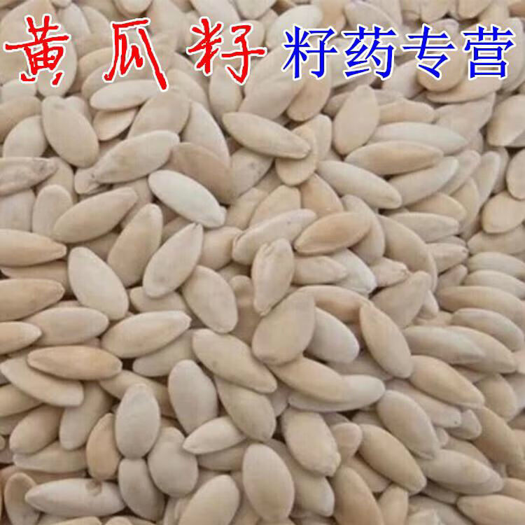 中药材新货生黄瓜籽天然农家东北老旱黄瓜子粉熟熟黄瓜籽粉500克