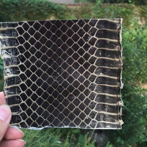 单块京胡皮越胡汉口蛇皮曲胡京二胡皮西皮二黄蛇皮配件尾皮8宽7长京胡