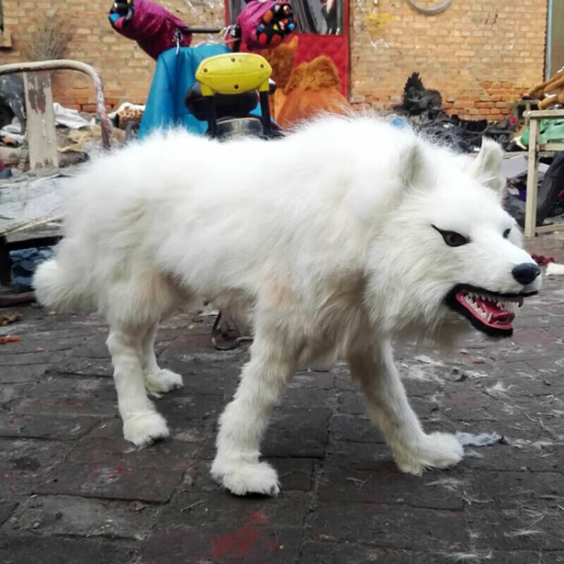 定制仿真野生动物模型大型仿真狼标本1比1皮野狼影视假狼道具摆件狼