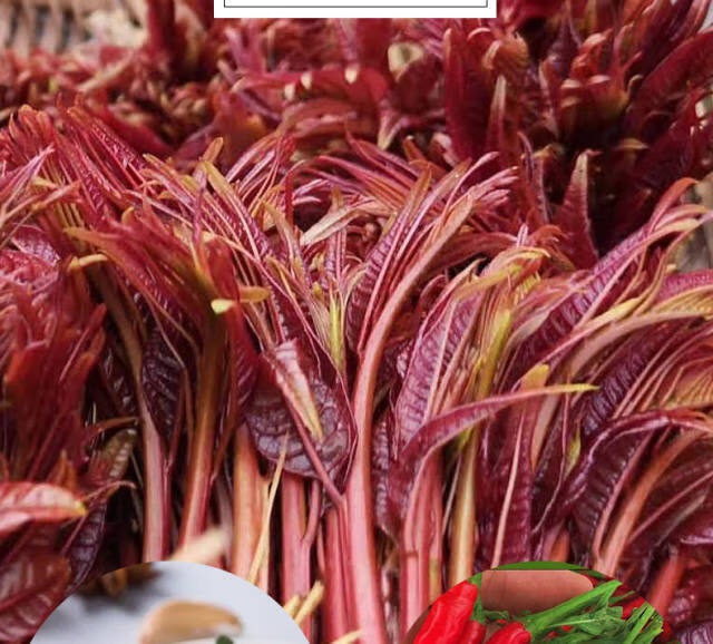 下饭菜拌面拌饭香菇牛肉酱腌菜特价香椿辣椒酱切制好辣椒1瓶装尝鲜价