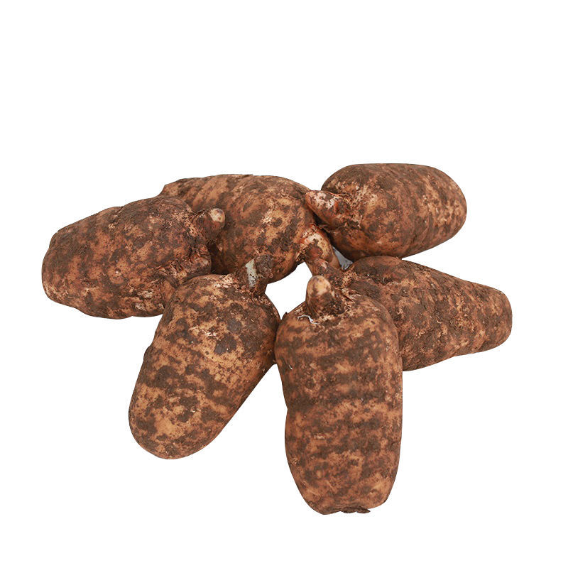 有仁堂鲜天麻新鲜仿天麻500克新鲜天麻年货 新鲜天麻1斤(9-12个)