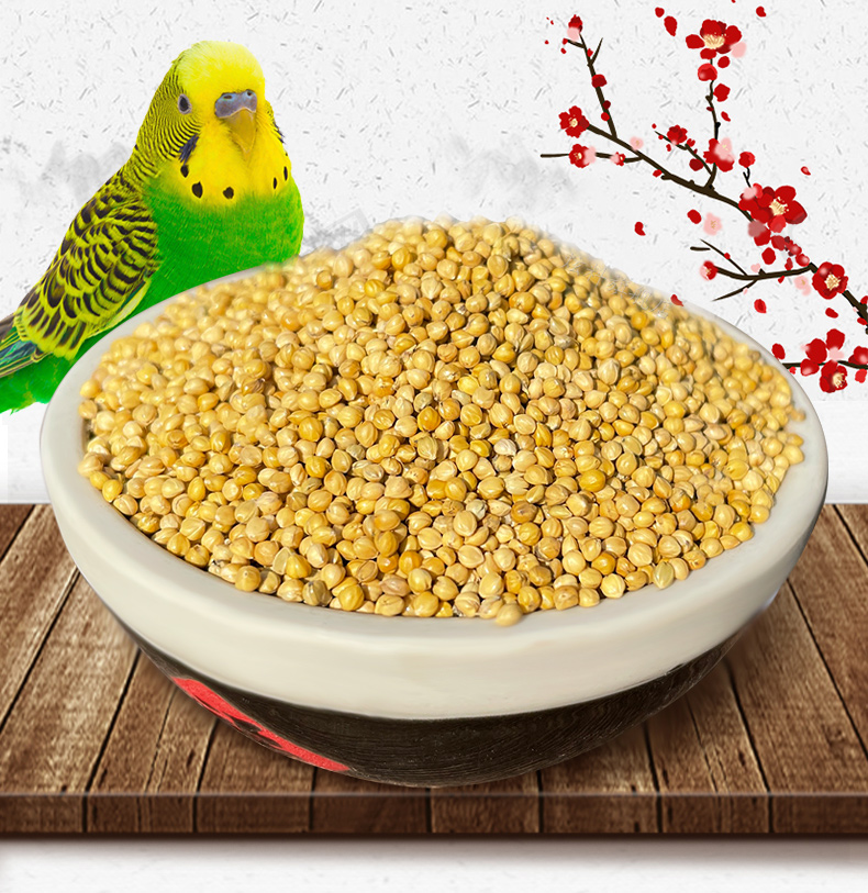炫料鸟粮鹦鹉饲料鸟粮a级大颗粒黄谷子鸟食玄凤鹦鹉带壳小米1500g