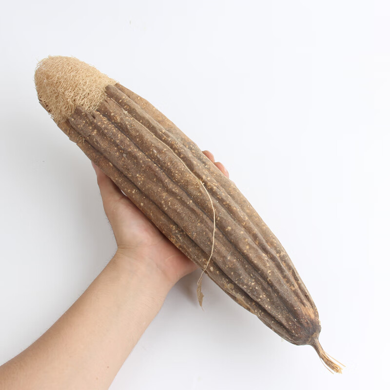 丝瓜瓤丝瓜瓤刷碗刷锅带皮老丝瓜络煮水喝中药材下奶干丝瓜泡茶泡水