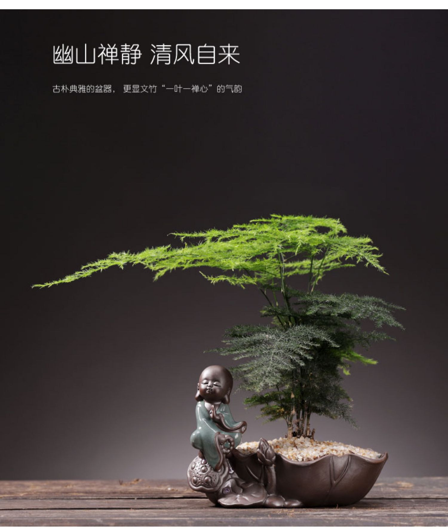 涞思芊【品质保证】创意文竹盆景造型植物盆栽花卉带盆客厅室内景观