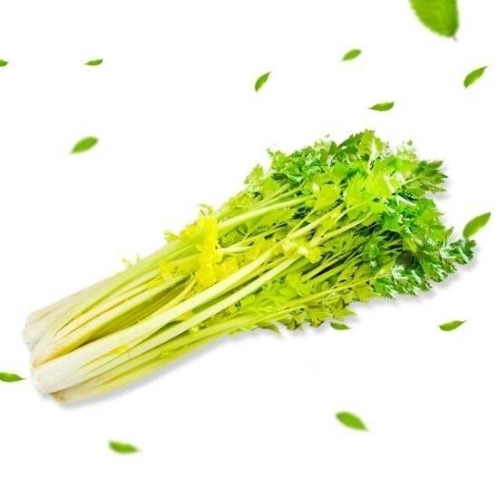 顺丰速运马家沟芹菜心空心芹菜心山东青岛特产平度大叶黄玻璃脆新鲜