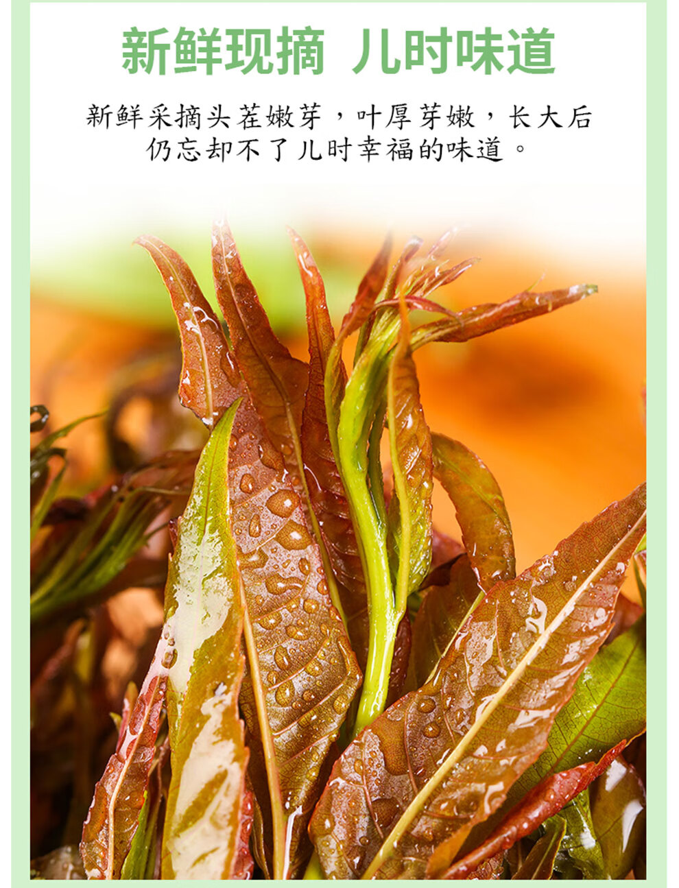 22年现摘新鲜头茬红香椿芽1斤装陕西野菜红油香椿叶野生现采香椿蔬菜