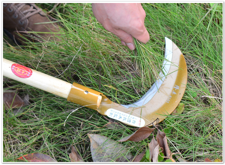 锰钢农用月牙镰刀割草刀户外农具除草工具长柄割草镰刀大镰刀军绿色60