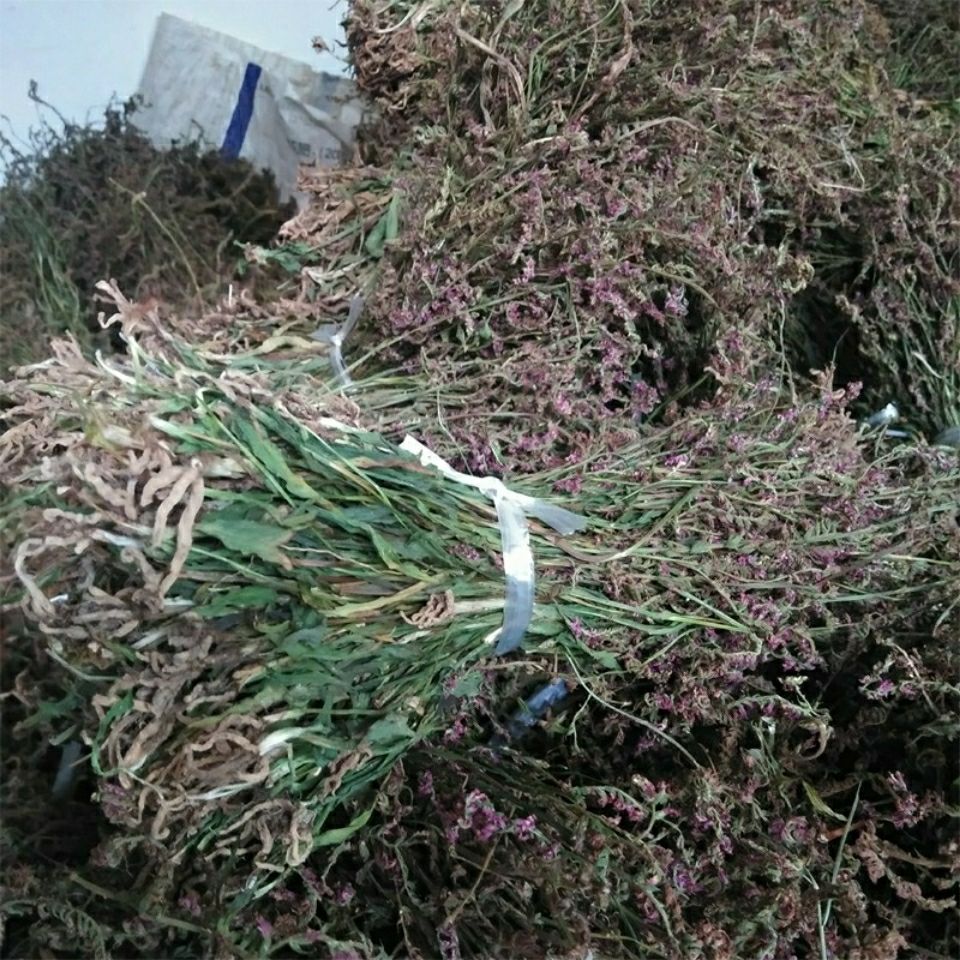 有仁堂贵州省盘龙参龙抱柱镰刀草海珠草龙盘旋鲤鱼草飞龙500克