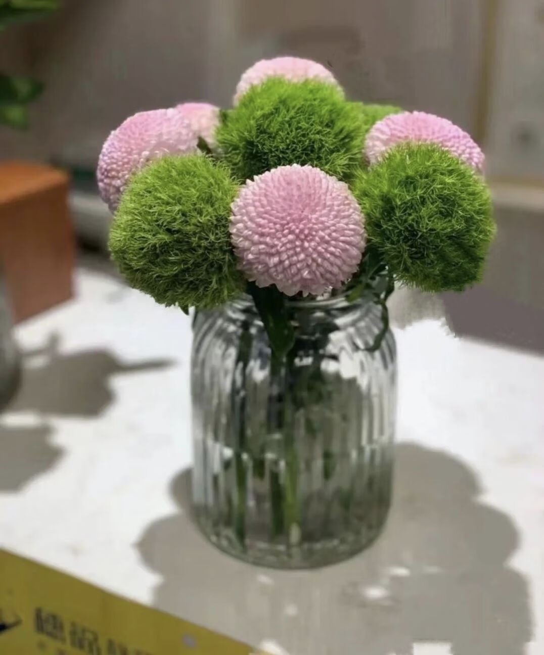 石竹云南昆明基地直发家庭办公室易水养清新插花绿毛球8枝5枝黄色乒乓