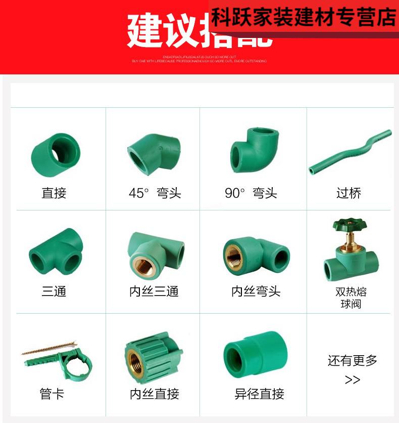 初伴(chuban)德国微法ppr水管6分25 4分20冷热水管配件自来水管热熔管