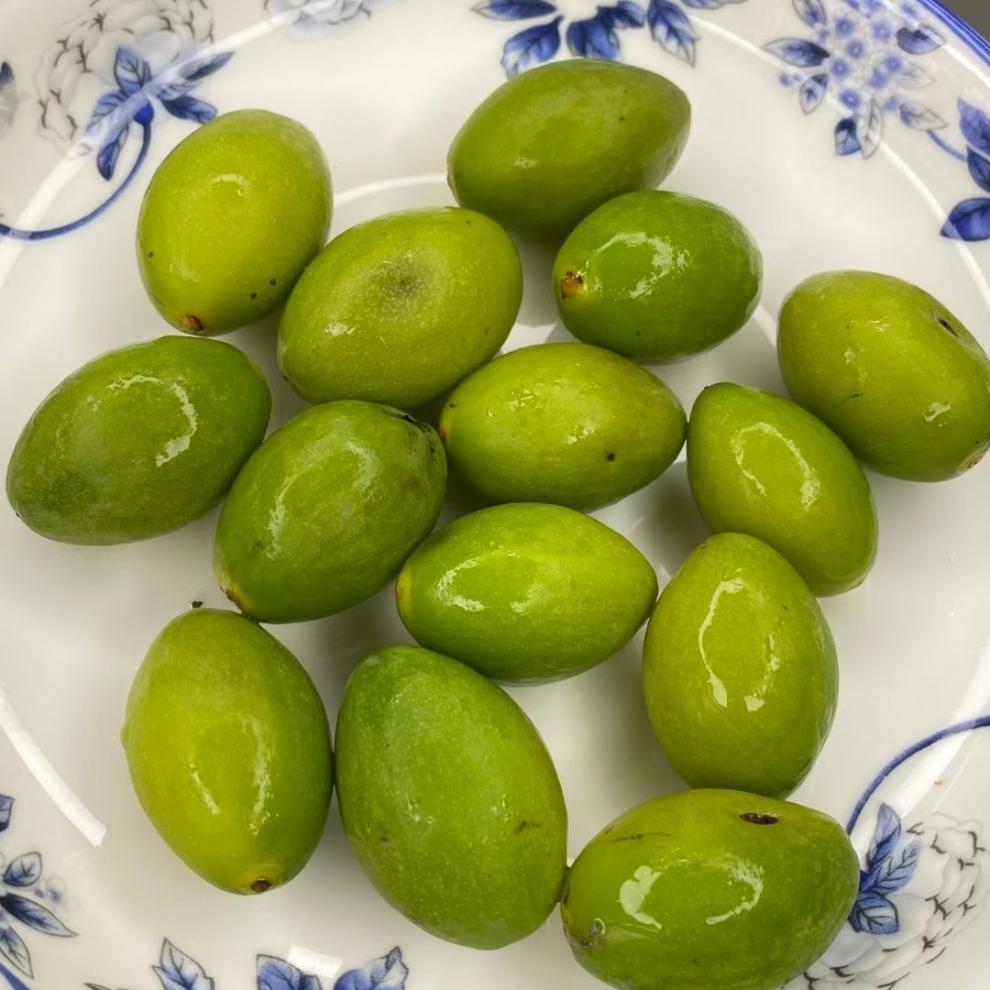 新鲜现踏黄榄茂名高州特产腌制橄榄香榄电白舂黄榄当天现发400克山姜
