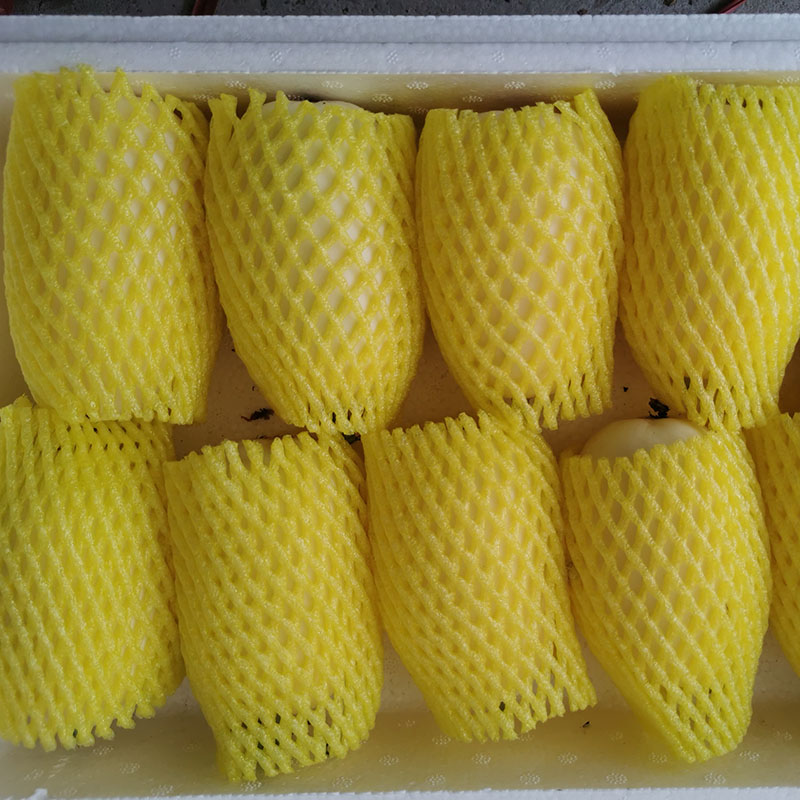 天美甜瓜新鲜水果白富美蜜罐甜瓜现摘现发山东3斤5斤白黄皮脆香甜 5斤