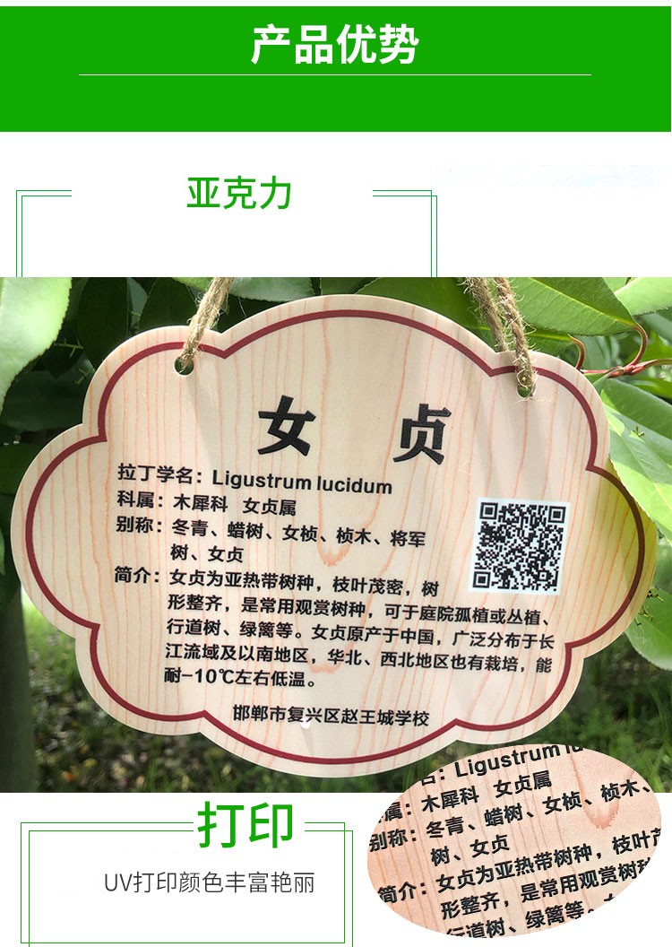 亚克力花草悬挂树牌定制植物标识牌绿化树木介绍挂牌园林指示牌15cmx