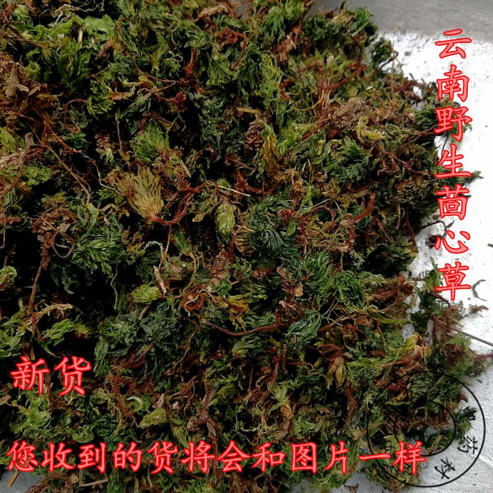 有仁堂云南回心草茴心草茴薪草铁脚一把伞岩谷伞50克500克