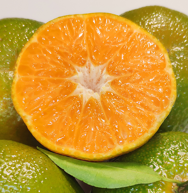 广西清香蜜桔甜清香茶橘新鲜水果5斤青桔砂糖柑沃橘子巴西柑3斤体验装