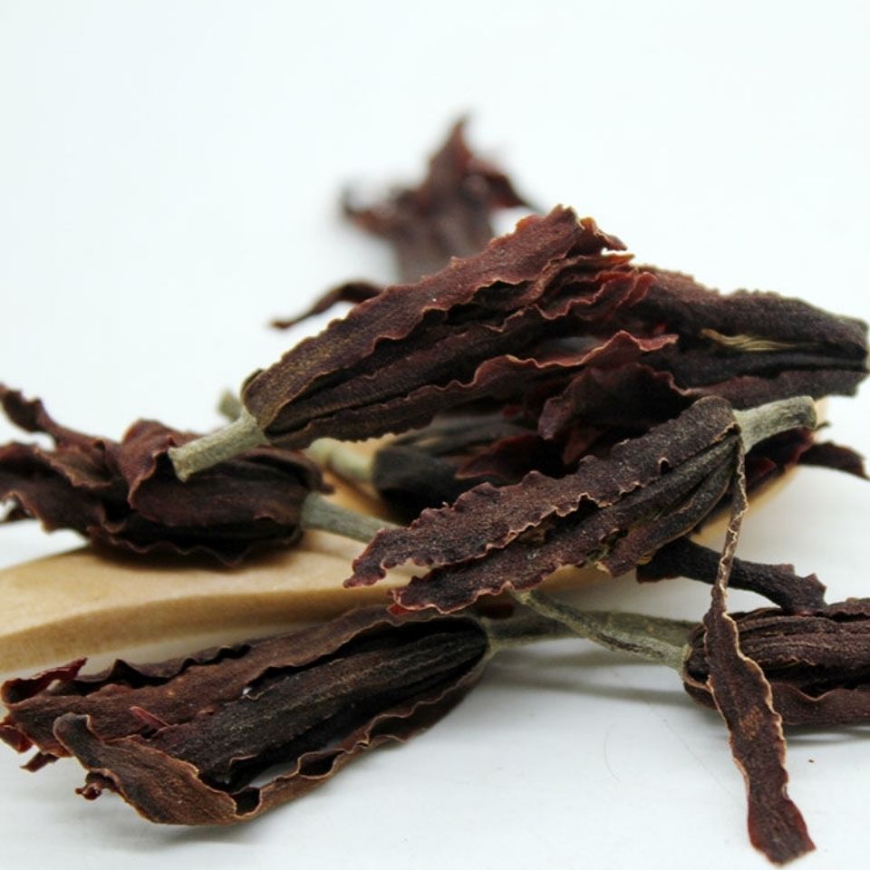 伟博 大分量一斤装500g新货玉兰花茶肾兰花茶玉兰花草茶50g 500克