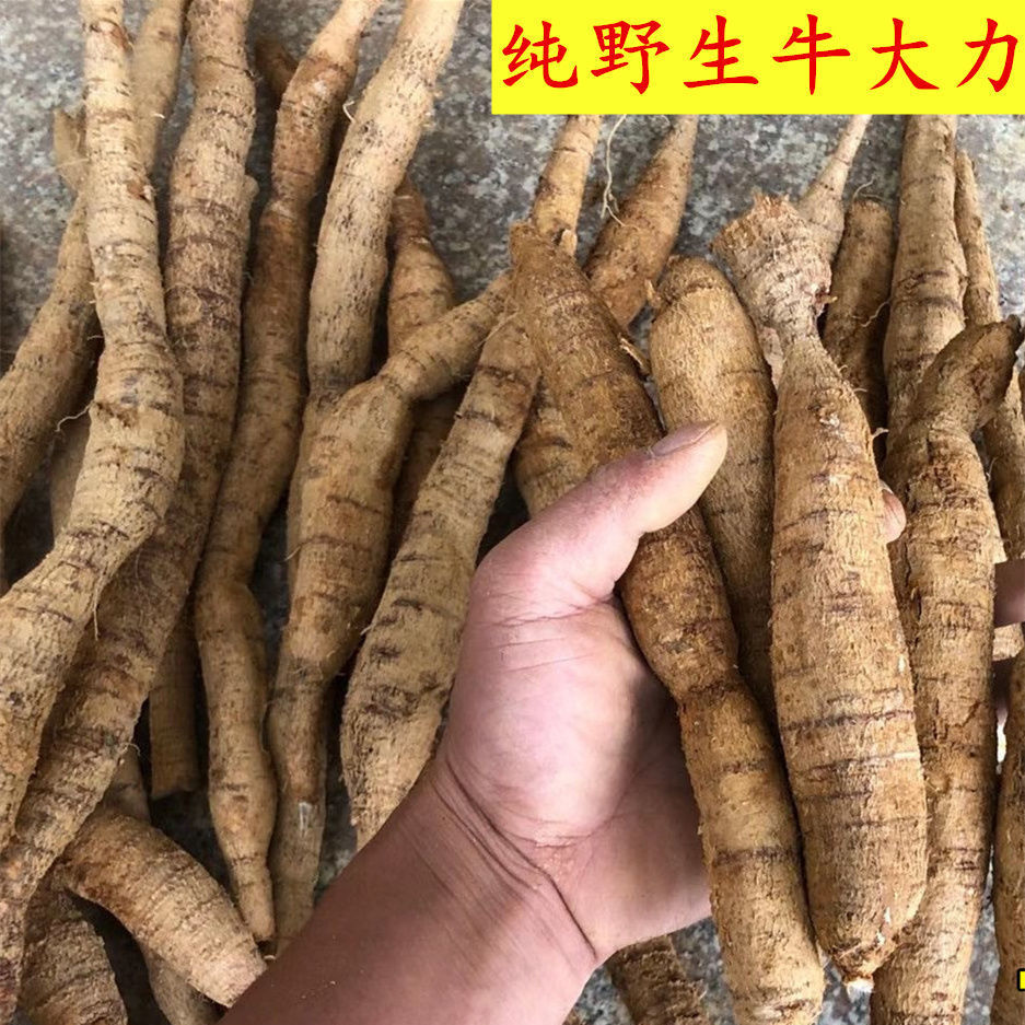 牛大力新鲜材现挖广东汤料500g大力薯根泡酒材料 大黑牛500g【图片