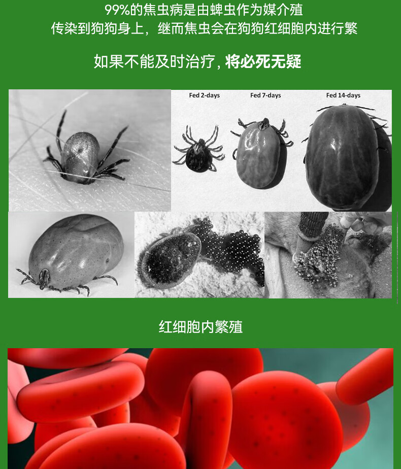 血虫醌阿托伐醌血虫病犬巴贝斯焦虫狗狗血液原虫大小焦虫贫血尿血 5kg