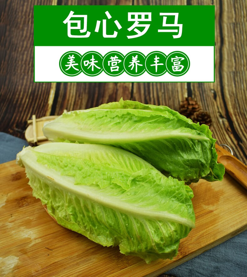 媚调新鲜包心罗马生菜2/3斤 罗马罗纹生菜凯撒沙拉蔬菜 西餐沙拉食材