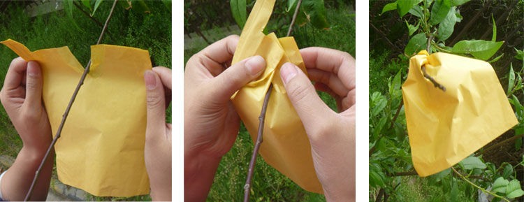 【园艺用品 上新好货】桃子套袋专用袋无花果脐橙水蜜桃黄桃春见柑橘