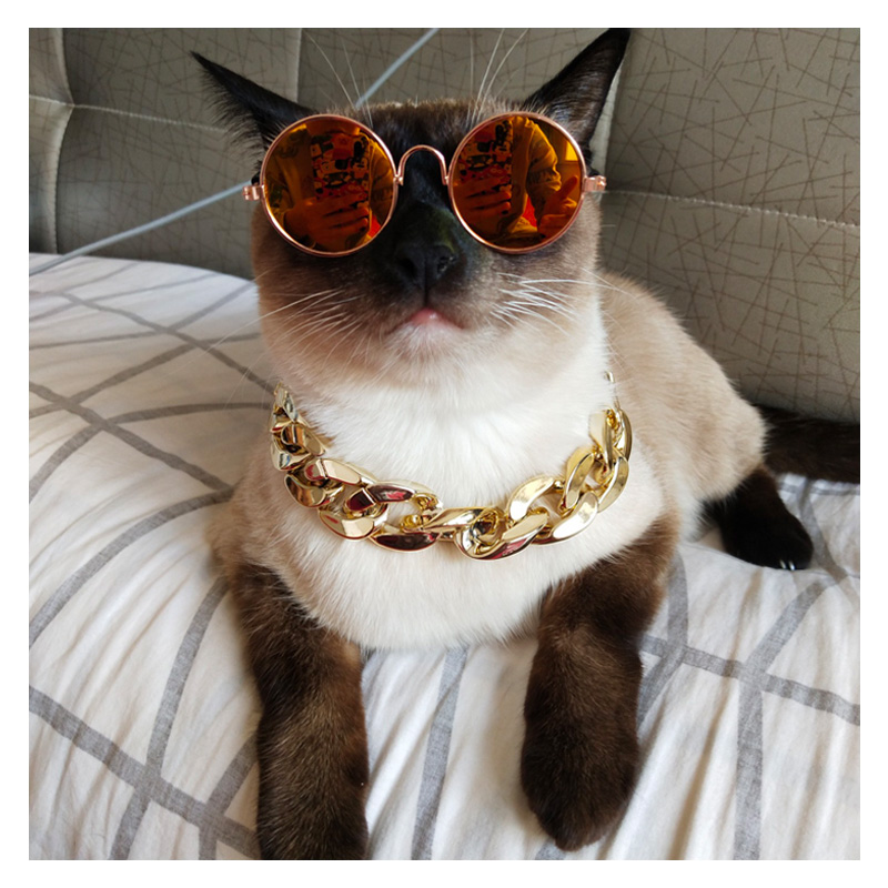 泰瑞格 宠物项圈狗狗金项链猫咪项链金链子拍照饰品卖萌泰迪蓝猫法斗