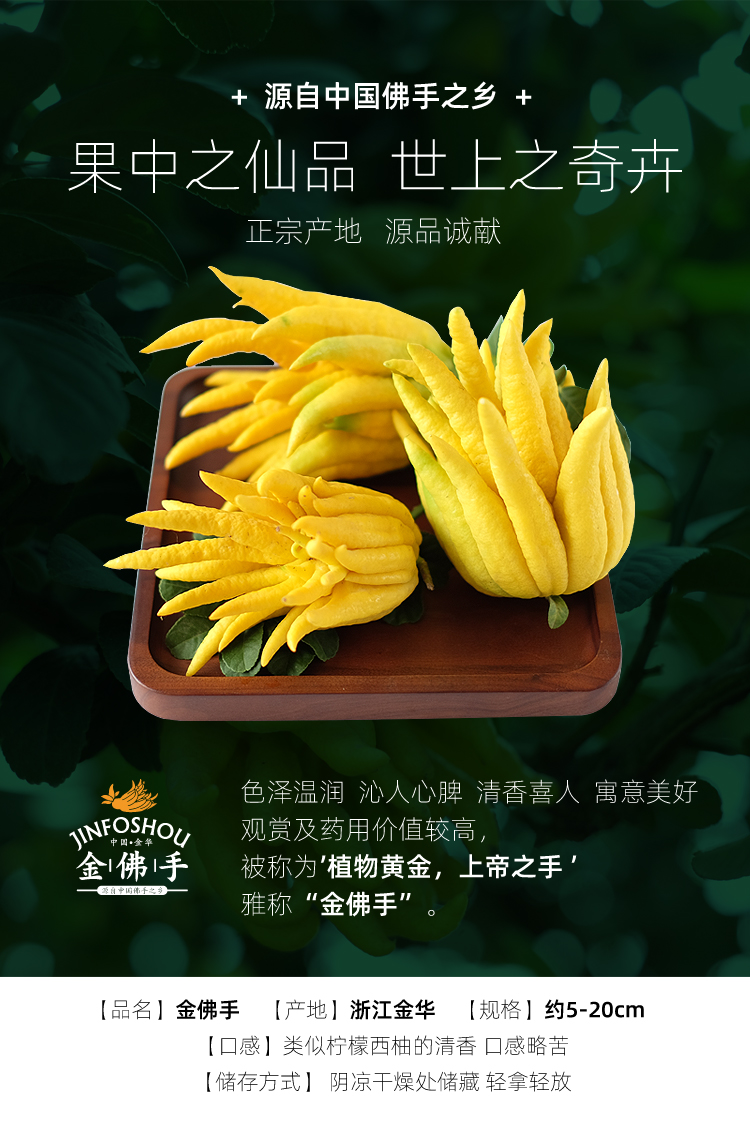 金华佛手果香橼小佛手鲜果佛手柑新鲜金佛手果观赏清供带枝水养 大果1