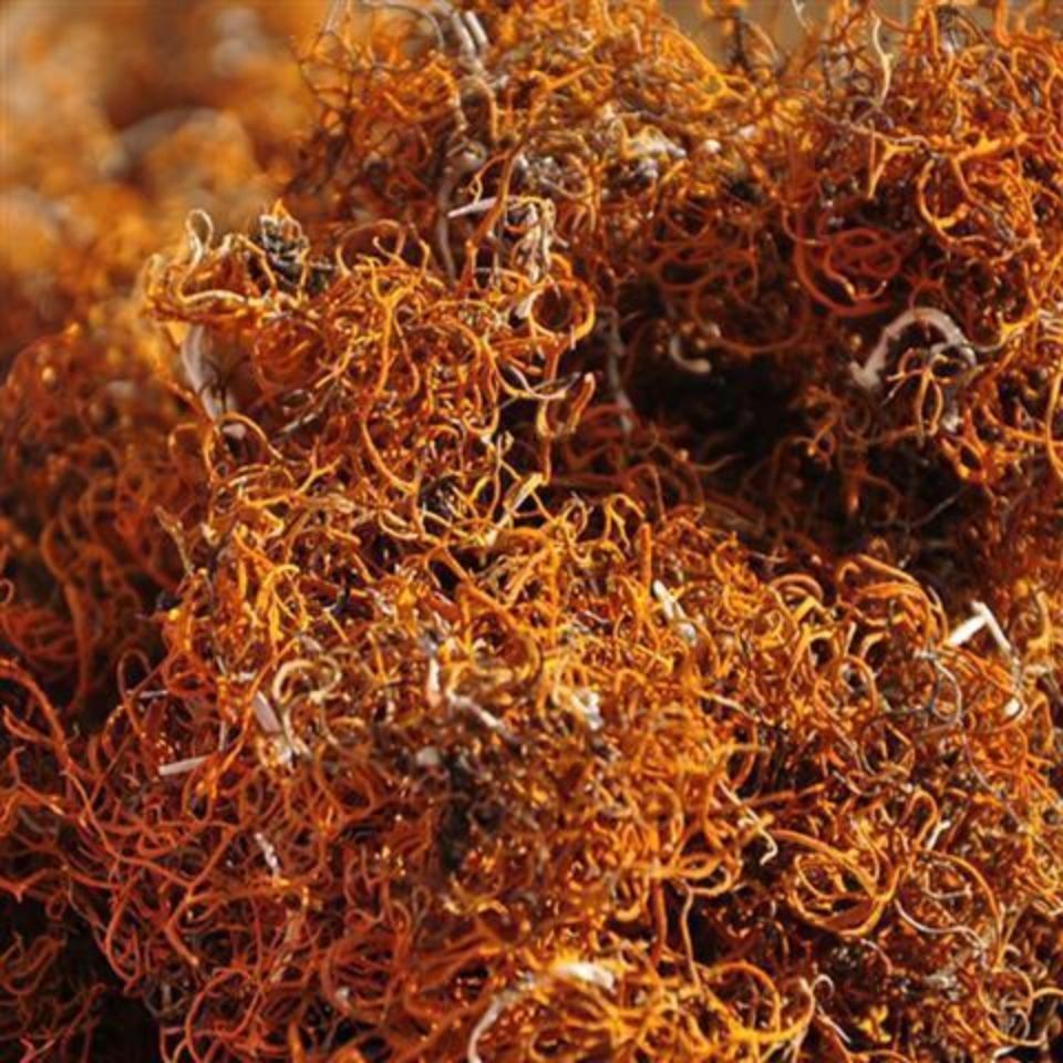 金丝红雪茶 250克/500克 西藏红雪茶金丝茶鹿心茶红血茶金刷把 500克