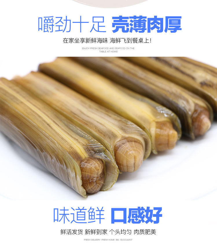大竹蛏子海鲜水产贝类鲜活蛏子速冻新鲜蛏子双头蛏海蚬海贝规格每斤