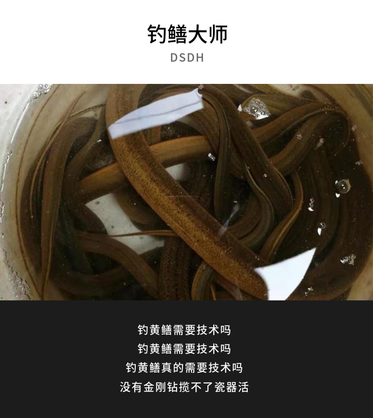 黄鳝钩带电电钓电子钓一体机钓专用助钓器自动电钓鳝神器新款套装