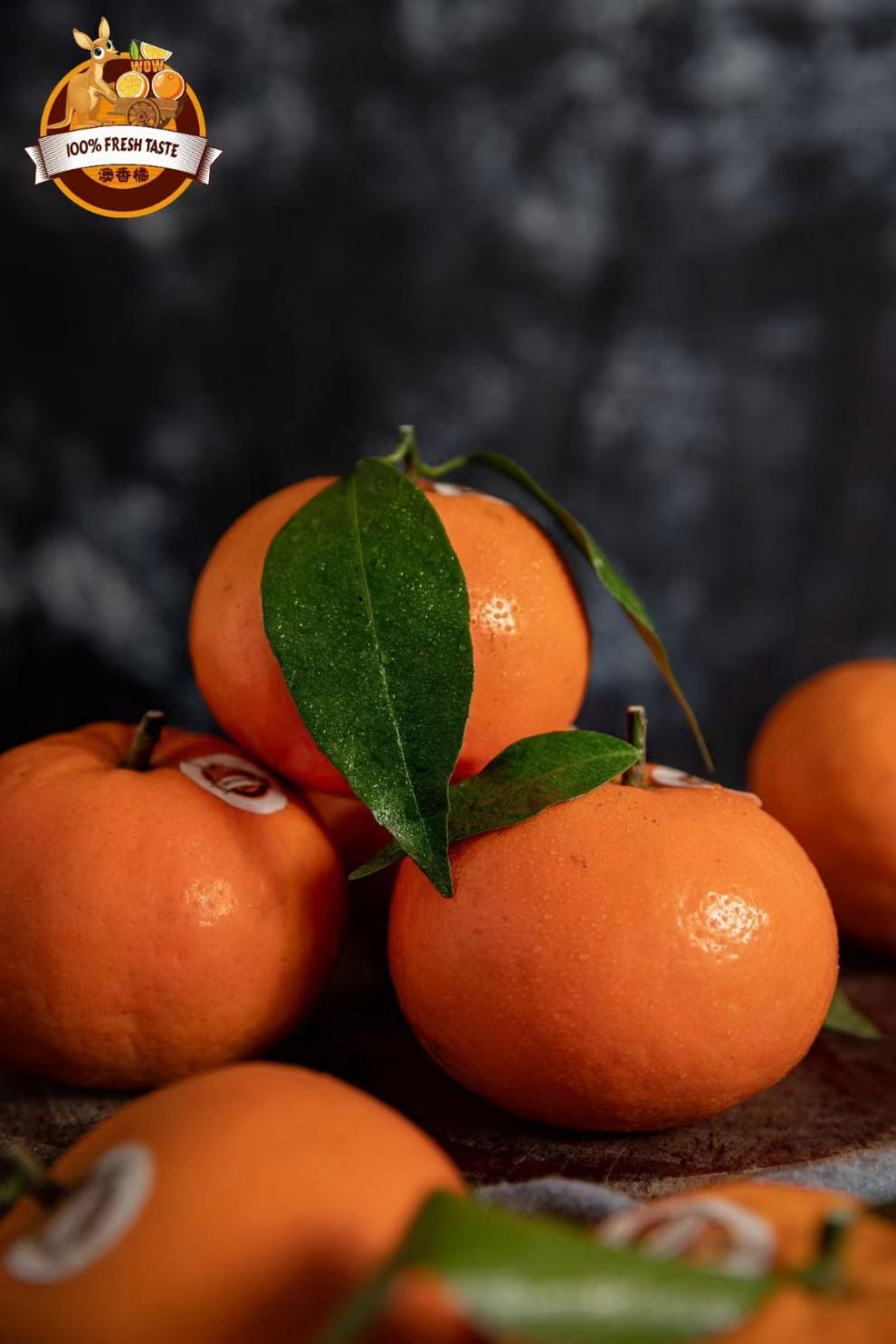 澳香橘5斤黑金礼盒特级大果12枚新鲜采广西澳香橘家庭装8斤5斤黑金