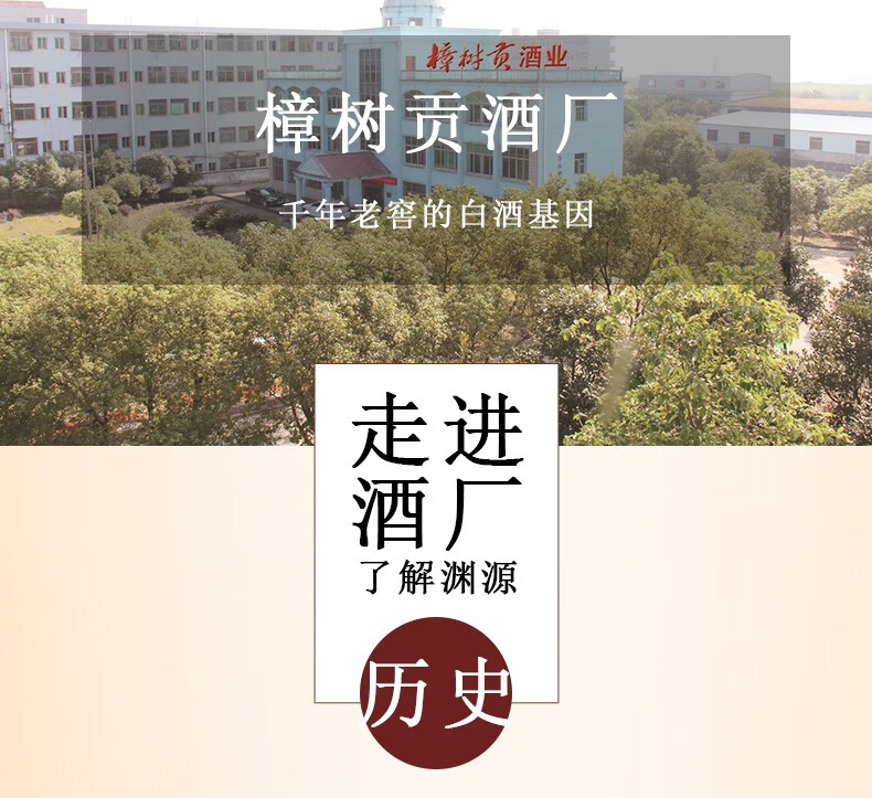 大樟树贡特香型老酒52度纯粮固态酿造珍藏15江西樟树贡酒原浆白酒陈年