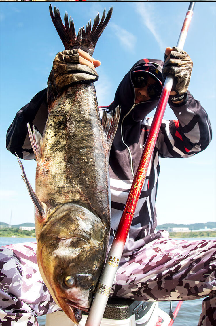 南啵丸暴力青鲟鱼竿手竿高碳超硬19调品牌鱼竿钓重大物竿巨物青鱼竿