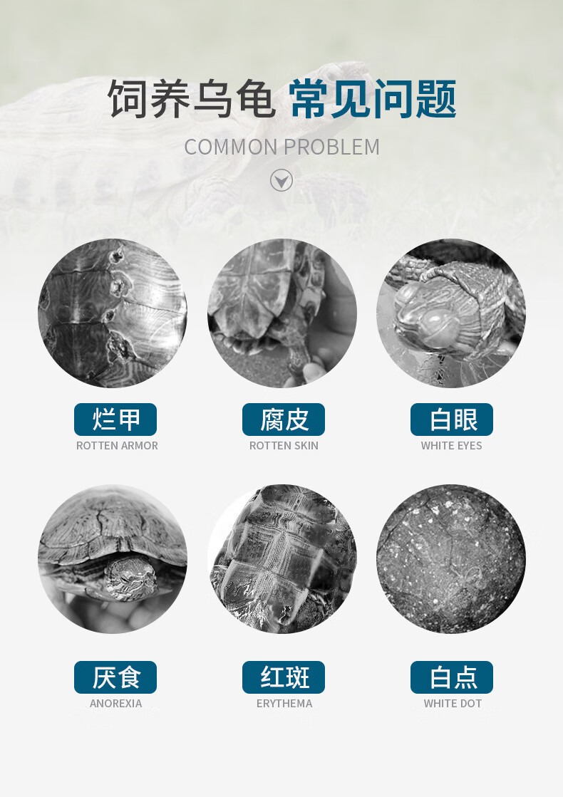 乌龟腐皮腐甲药治疗乌龟腐皮烂甲病专用的龟药防烂壳烂脚护龟宝液200