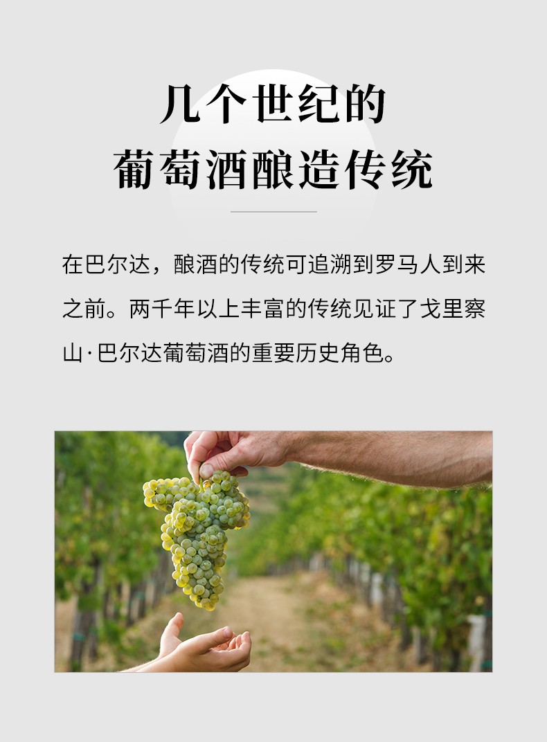 斯洛文尼亚国家馆木桶陈酿18个月微妮亚梅洛干红葡萄酒原瓶进口红酒单